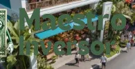 How to Start a business in bali.webp